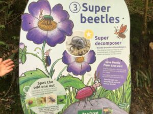 Super beetles sign