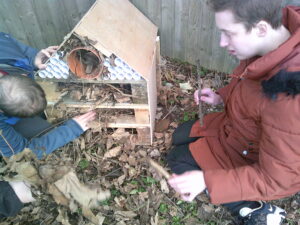Beaumont student assisted in making bug hotel